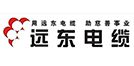 遠(yuǎn)東電纜